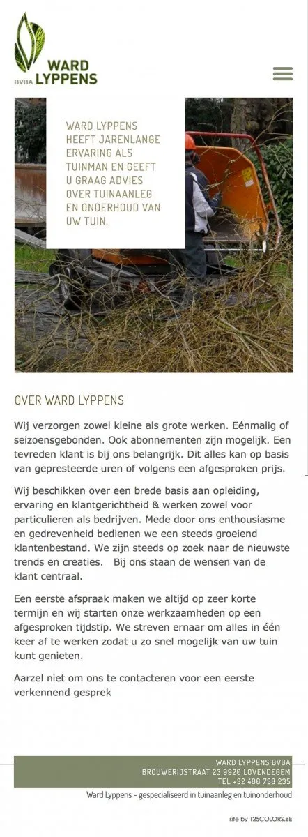 Responsive website
